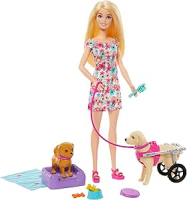 Barbie, Conjunto de Brinquedo, Passeio de Animais de Estimação com Cadeira de Rodas, 1 Boneca, 2 Cachorros e Acessórios